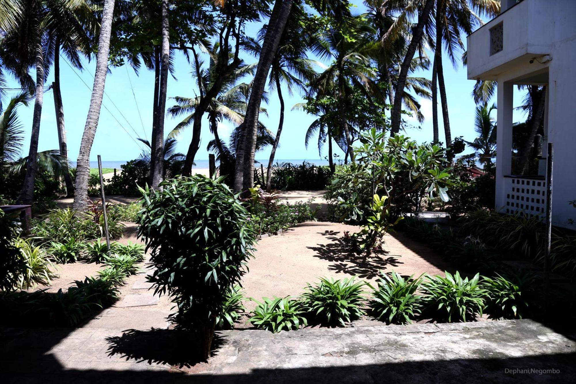 Dephani Beach Hotel Negombo Eksteriør billede