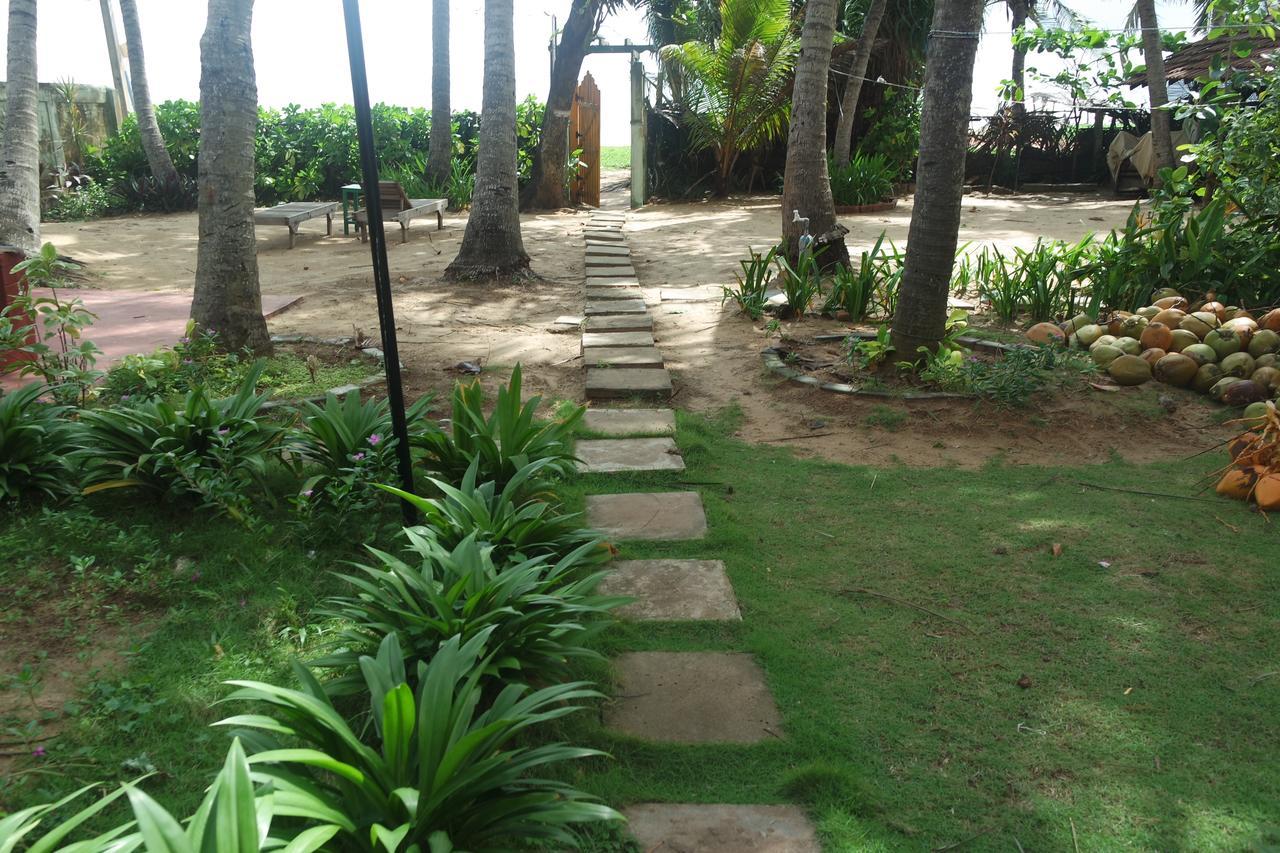 Dephani Beach Hotel Negombo Eksteriør billede