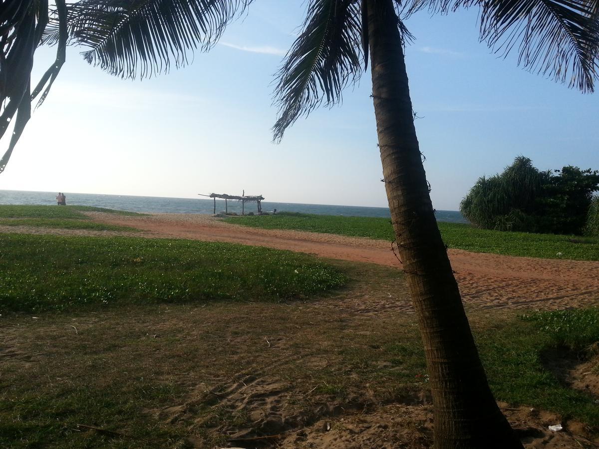 Dephani Beach Hotel Negombo Eksteriør billede