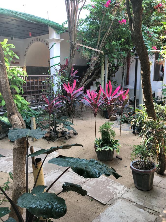 Dephani Beach Hotel Negombo Eksteriør billede